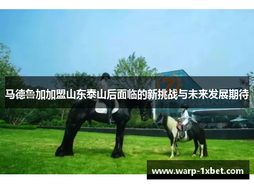 马德鲁加加盟山东泰山后面临的新挑战与未来发展期待